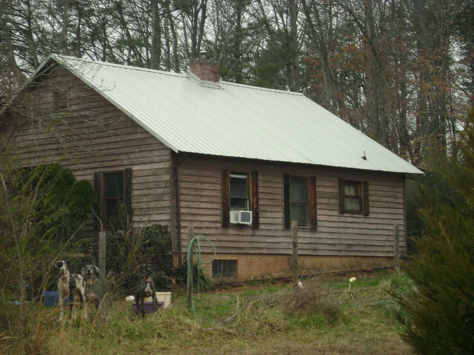 White metal roof on an old wood sided farmhouse, from a Asphalt Shingle Roof Repair job in Johnson City